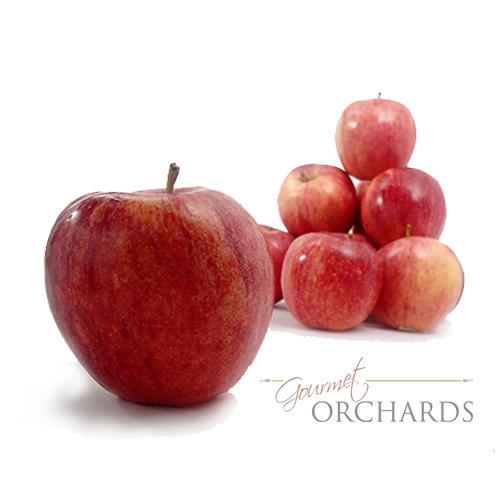 Organic Fuji Apples – 1 Dozen