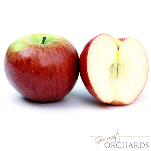Organic Apples-HALF BUSHEL